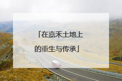在嘉禾土地上的重生与传承