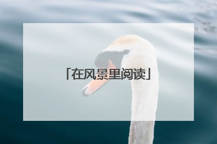 在风景里阅读