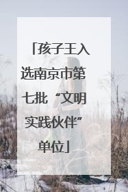 孩子王入选南京市第七批“文明实践伙伴”单位