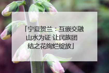 宁夏贺兰：互嵌交融 山水为证 让民族团结之花绚烂绽放