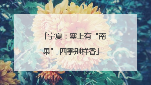 宁夏：塞上有“南果” 四季别样香
