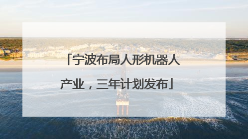 宁波布局人形机器人产业，三年计划发布