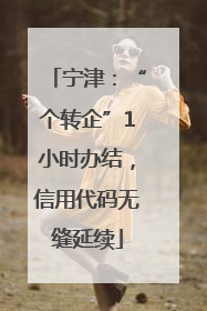 宁津：“个转企”1小时办结，信用代码无缝延续