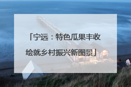 宁远：特色瓜果丰收绘就乡村振兴新图景