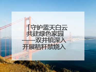 守护蓝天白云 共建绿色家园——双井镇深入开展秸秆禁烧入户宣传活动
