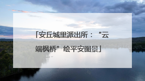 安丘城里派出所：“云端枫桥”绘平安图景