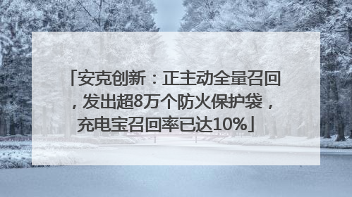 安克创新：正主动全量召回，发出超8万个防火保护袋，充电宝召回率已达10%