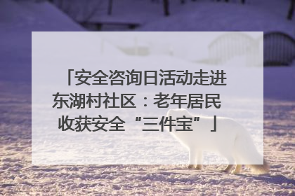 安全咨询日活动走进东湖村社区：老年居民收获安全“三件宝”