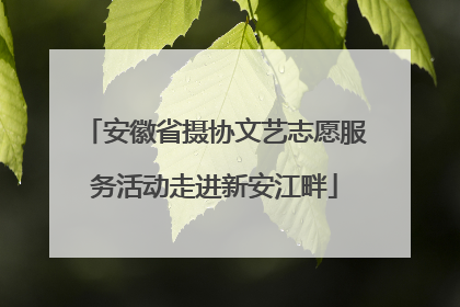 安徽省摄协文艺志愿服务活动走进新安江畔