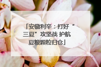 安徽利辛：打好“三夏”攻坚战 护航夏粮颗粒归仓