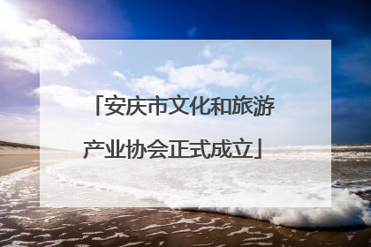 安庆市文化和旅游产业协会正式成立