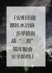 安阳市殷都区水冶镇：多举措备战“三夏” 筑牢粮食安全防线