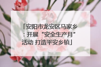 安阳市龙安区马家乡：开展“安全生产月”活动 打造平安乡镇