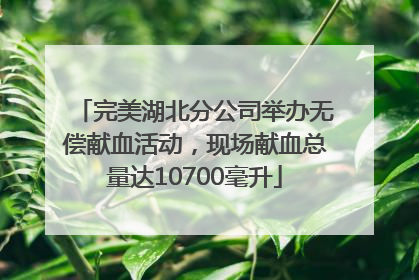 完美湖北分公司举办无偿献血活动，现场献血总量达10700毫升