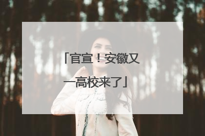官宣！安徽又一高校来了