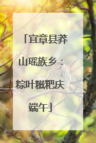 宜章县莽山瑶族乡：粽叶糍粑庆端午