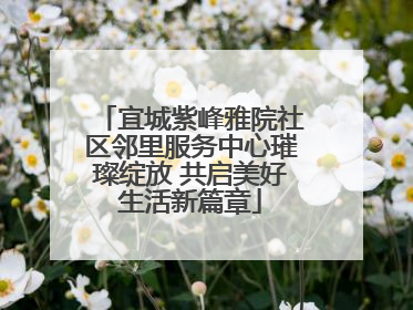 宜城紫峰雅院社区邻里服务中心璀璨绽放 共启美好生活新篇章