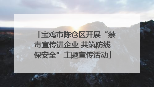 宝鸡市陈仓区开展“禁毒宣传进企业 共筑防线保安全”主题宣传活动