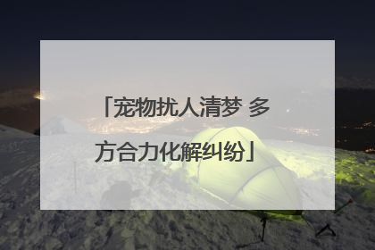 宠物扰人清梦 多方合力化解纠纷