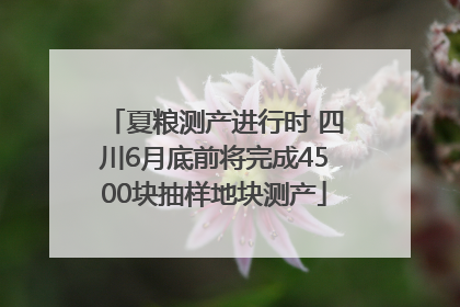 夏粮测产进行时 四川6月底前将完成4500块抽样地块测产