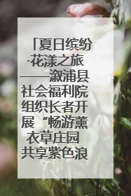 夏日缤纷·花漾之旅——溆浦县社会福利院组织长者开展“畅游薰衣草庄园 共享紫色浪漫”户外活动