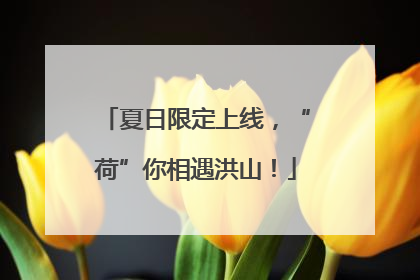 夏日限定上线，“荷”你相遇洪山！