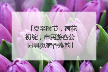 夏至时节，荷花初绽，市民游客公园寻觅荷香雅韵