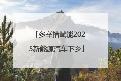 多举措赋能2025新能源汽车下乡