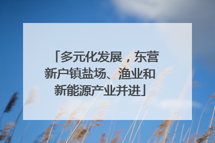 多元化发展，东营新户镇盐场、渔业和新能源产业并进