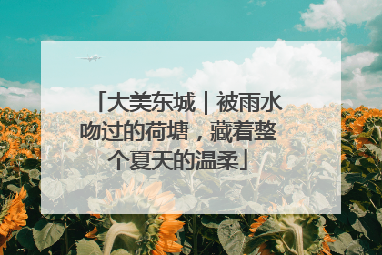 大美东城｜被雨水吻过的荷塘，藏着整个夏天的温柔