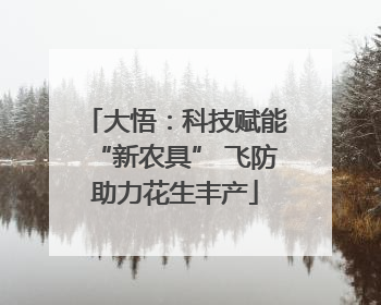 大悟：科技赋能“新农具” 飞防助力花生丰产