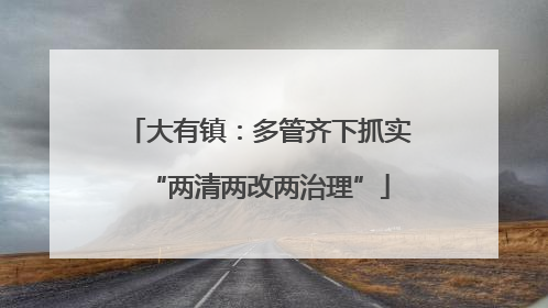 大有镇：多管齐下抓实“两清两改两治理”