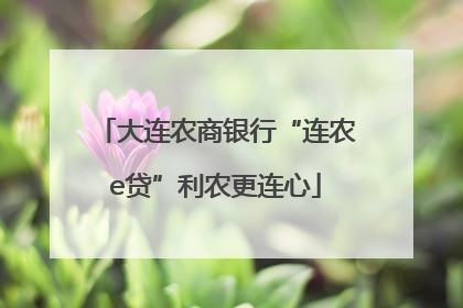 大连农商银行“连农e贷”利农更连心