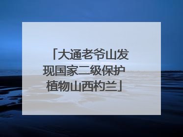 大通老爷山发现国家二级保护植物山西杓兰