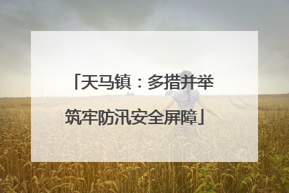 天马镇：多措并举筑牢防汛安全屏障