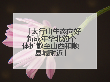 太行山生态向好 新成年华北豹个体扩散至山西和顺县城附近