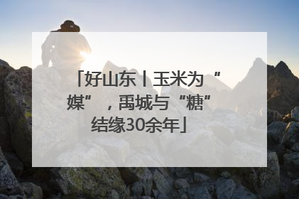 好山东丨玉米为“媒”，禹城与“糖”结缘30余年
