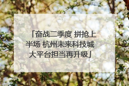 奋战二季度 拼抢上半场 杭州未来科技城大平台担当再升级