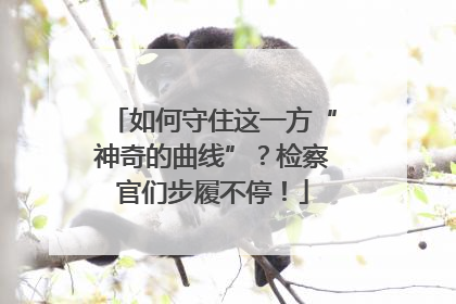 如何守住这一方“神奇的曲线”？检察官们步履不停！