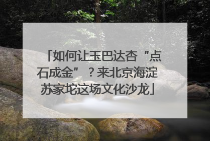 如何让玉巴达杏“点石成金”？来北京海淀苏家坨这场文化沙龙
