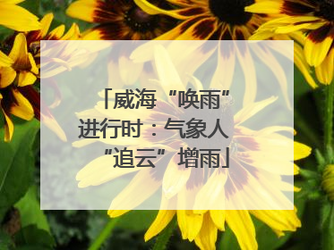 威海“唤雨”进行时：气象人“追云”增雨
