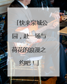 快来泉城公园，赴一场与荷花的浪漫之约吧！