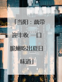 当阳：藕带迎丰收 一口脆嫩吃出夏日味道