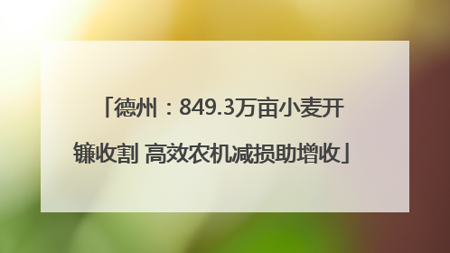 德州：849.3万亩小麦开镰收割 高效农机减损助增收
