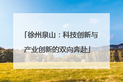 徐州泉山：科技创新与产业创新的双向奔赴