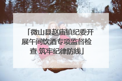 微山县赵庙镇纪委开展午间饮酒专项监督检查 筑牢纪律防线