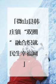 微山县韩庄镇“双圈”融合织就民生幸福网