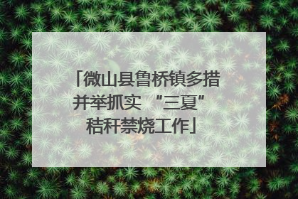 微山县鲁桥镇多措并举抓实 “三夏” 秸秆禁烧工作