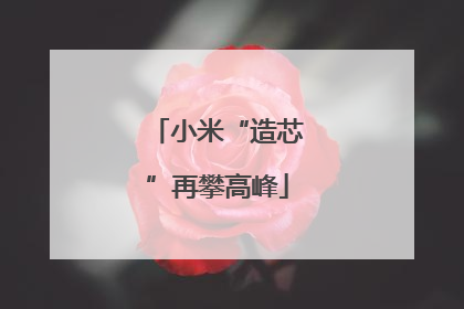 小米“造芯”再攀高峰