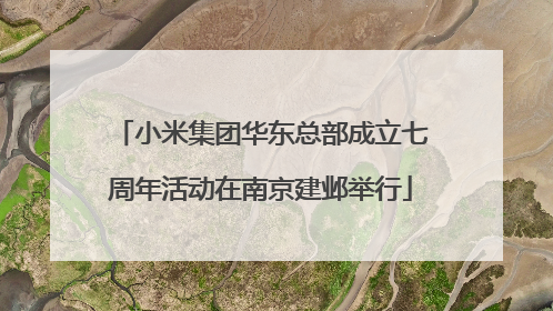 小米集团华东总部成立七周年活动在南京建邺举行
